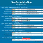 seo-pro-all-in-one-url-cleaner-redirects-sitemaps (3).jpg